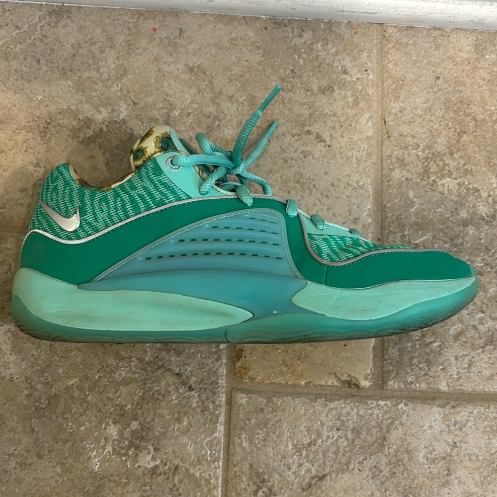 Wanda Nike basketball shoes